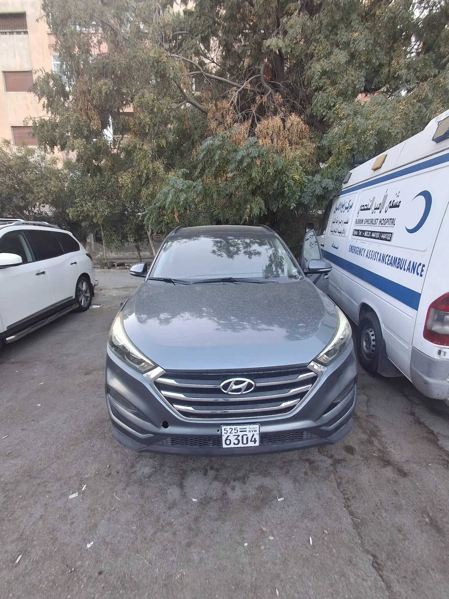 حمص الوعر - صورة 1