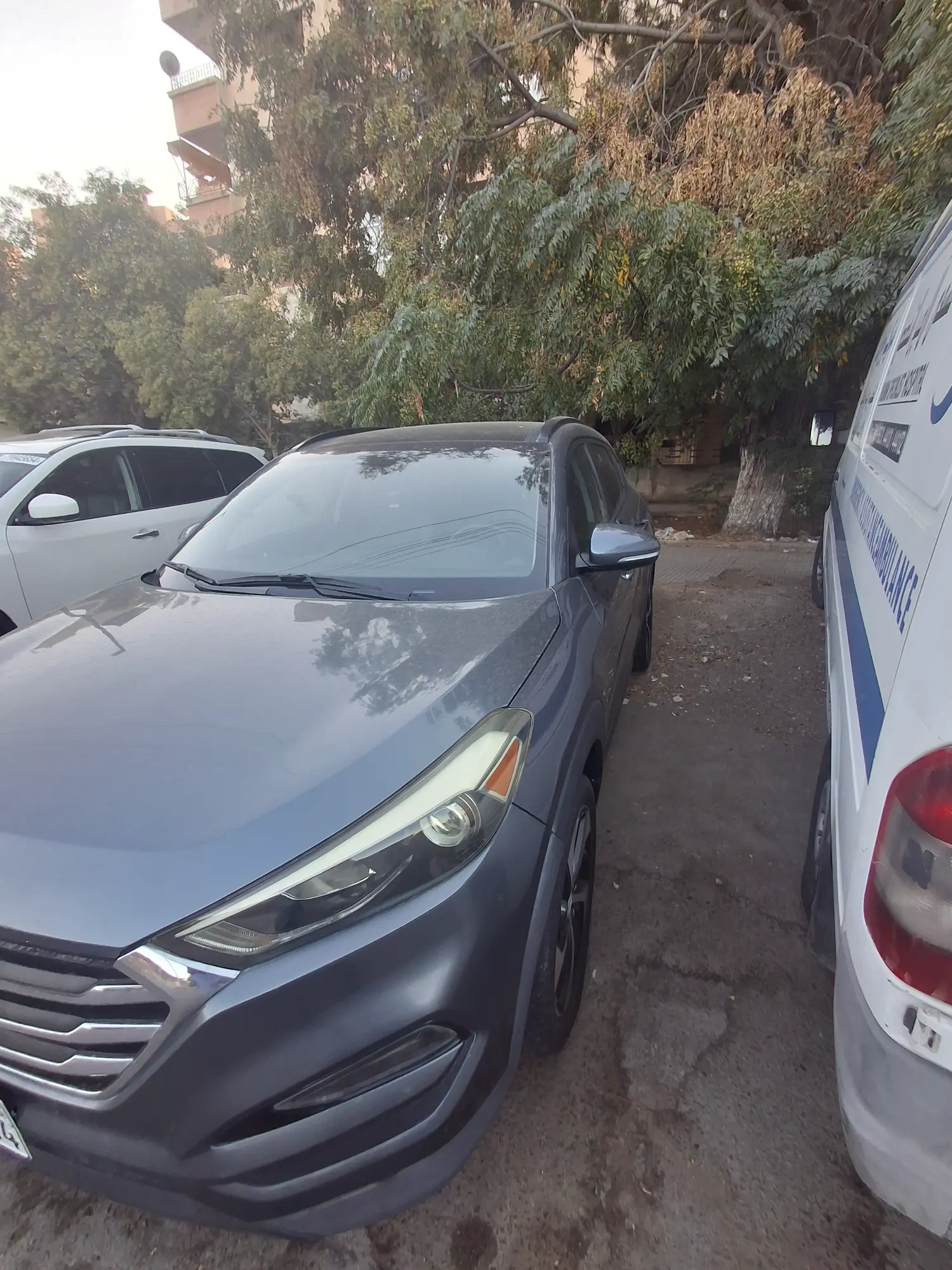 حمص الوعر - صورة 2