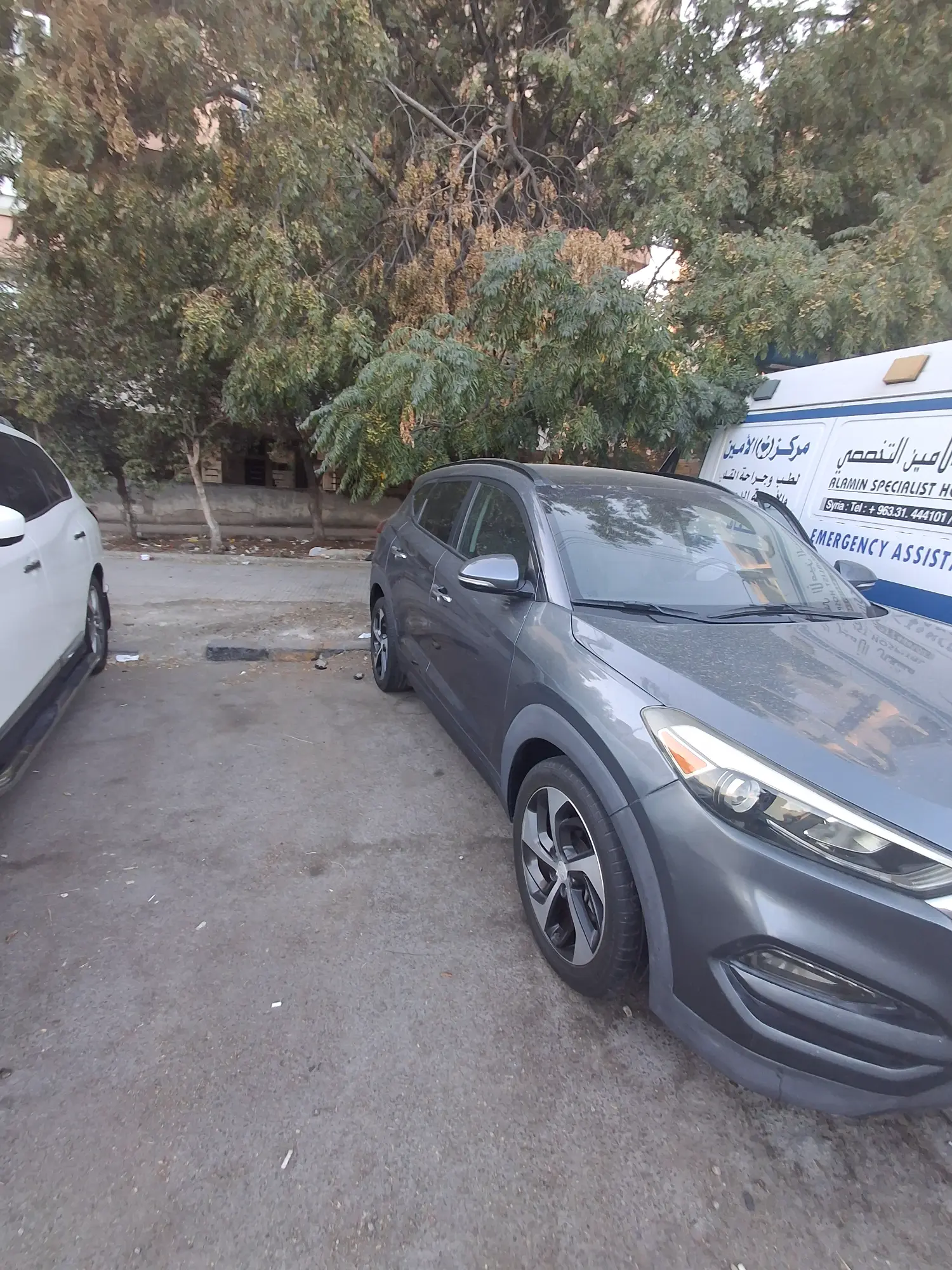 حمص الوعر - صورة 3