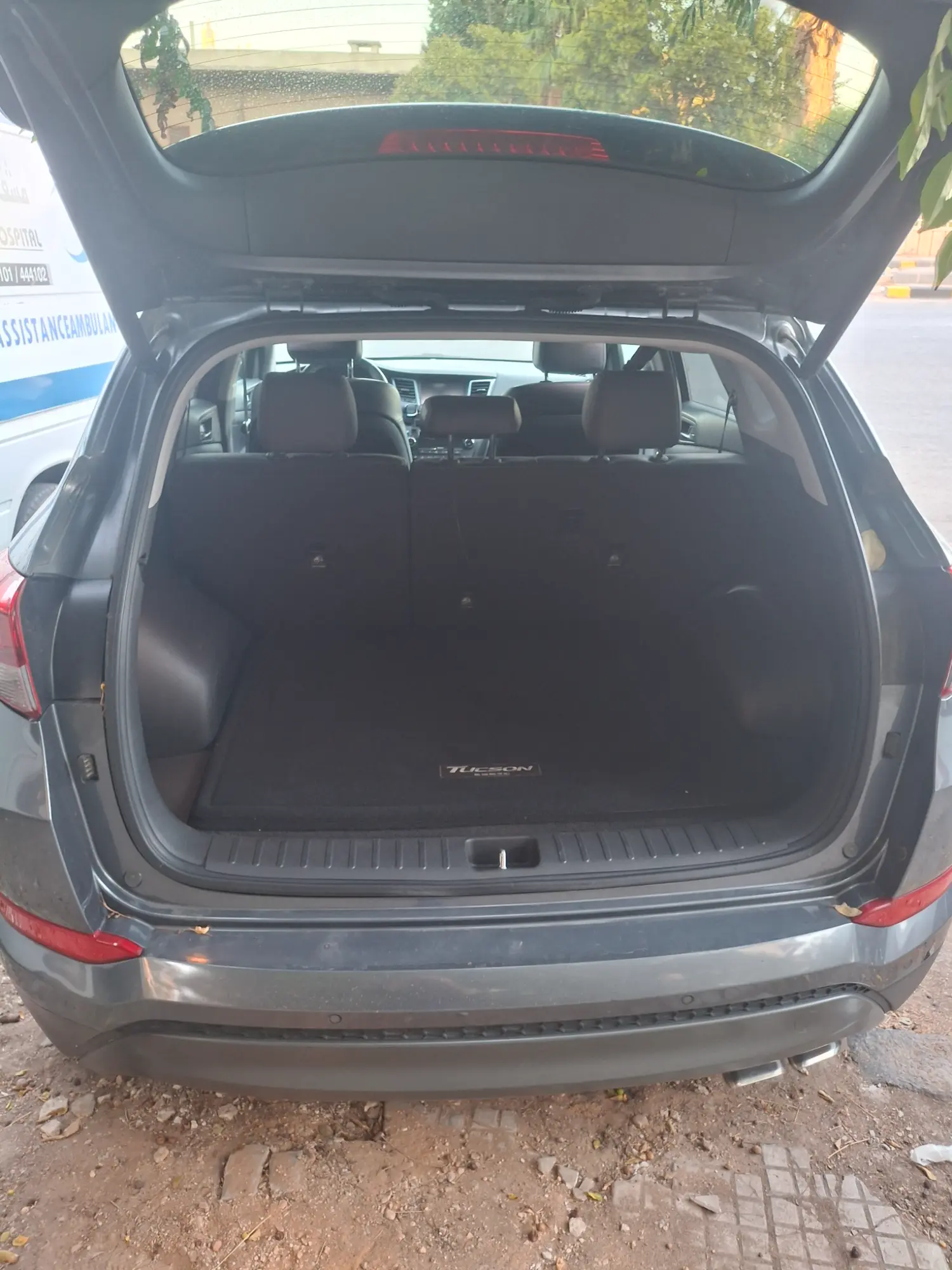 حمص الوعر - صورة 5