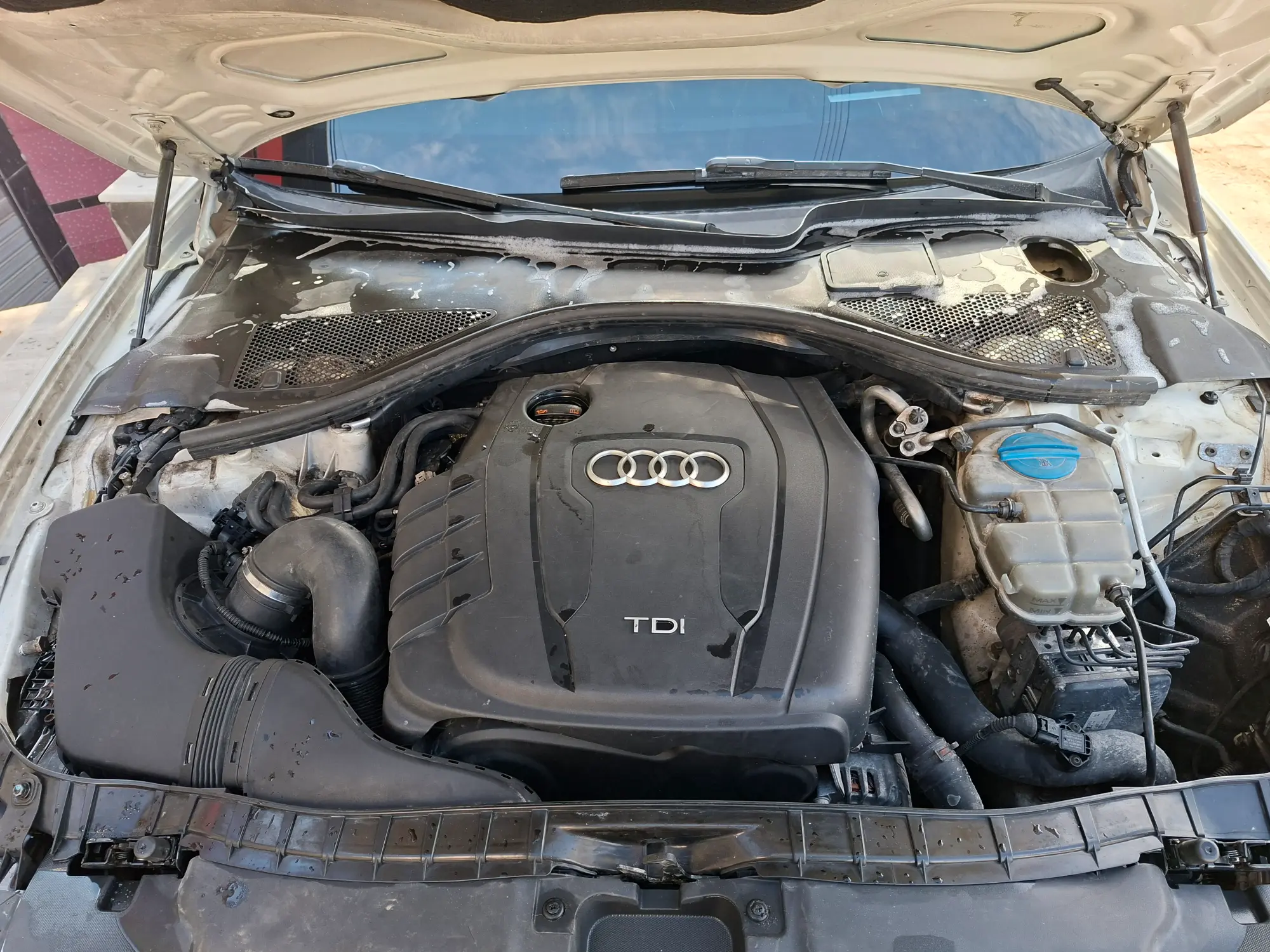 حلب عفرين  - صورة 8