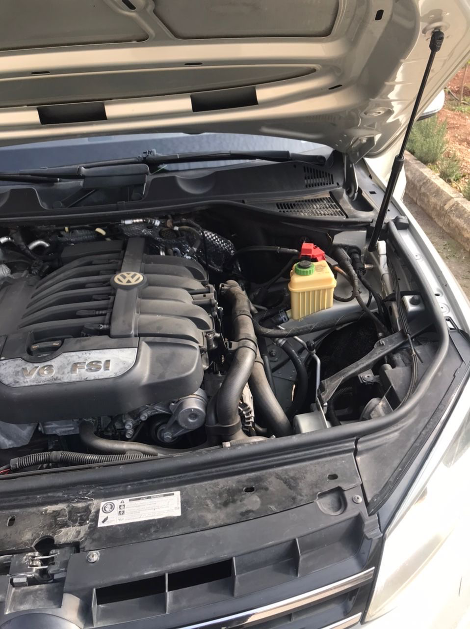 طوارق 2012 - صورة 7