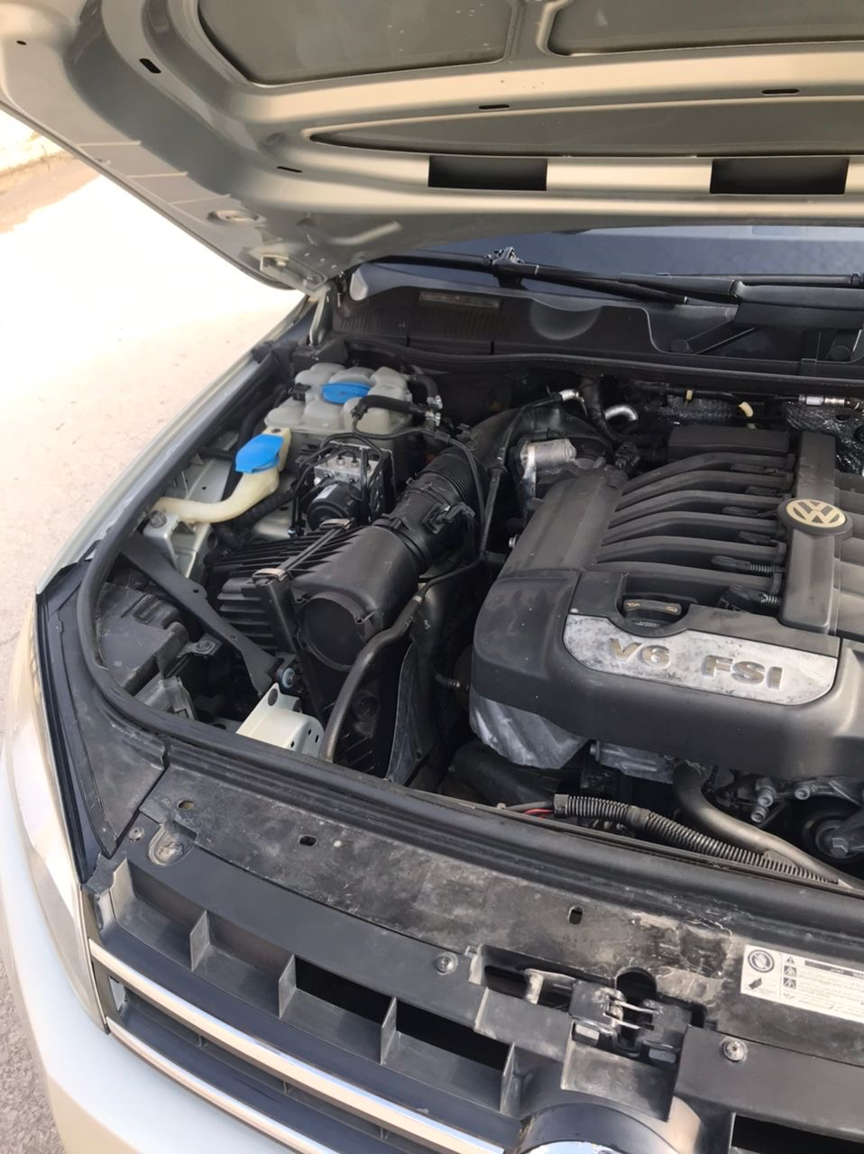 طوارق 2012 - صورة 8