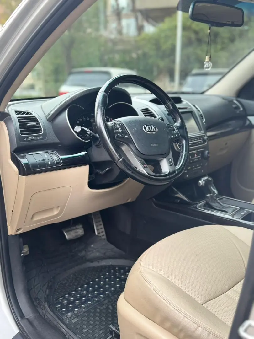 كيا سورينتو 2014 - صورة 8