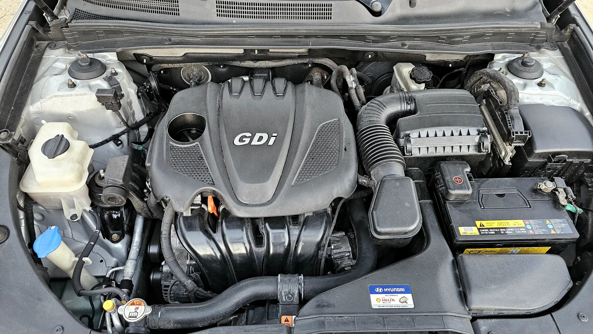 سرمدا / قاح  - صورة 8