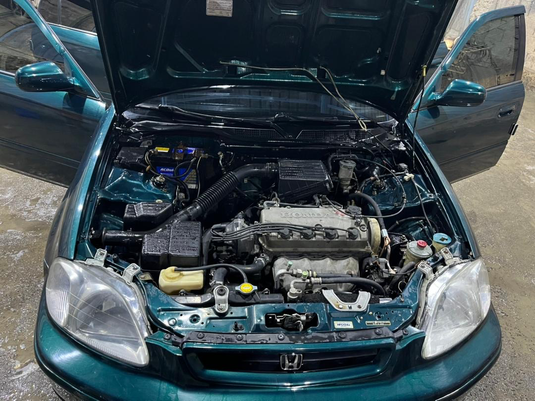 قدسيا  - صورة 4