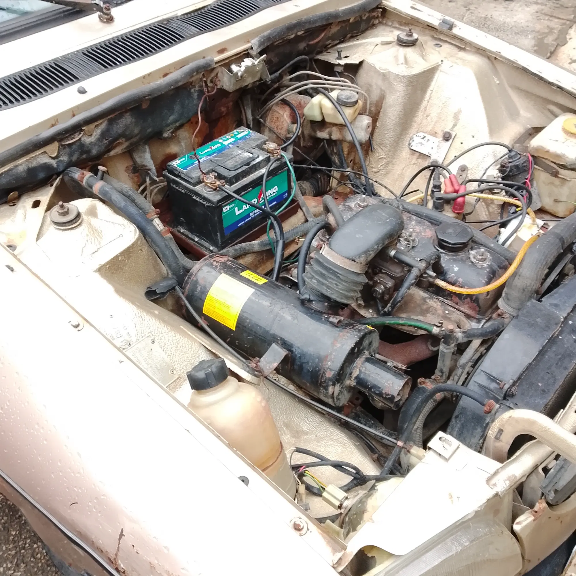 اللاذقية المدينة - صورة 1