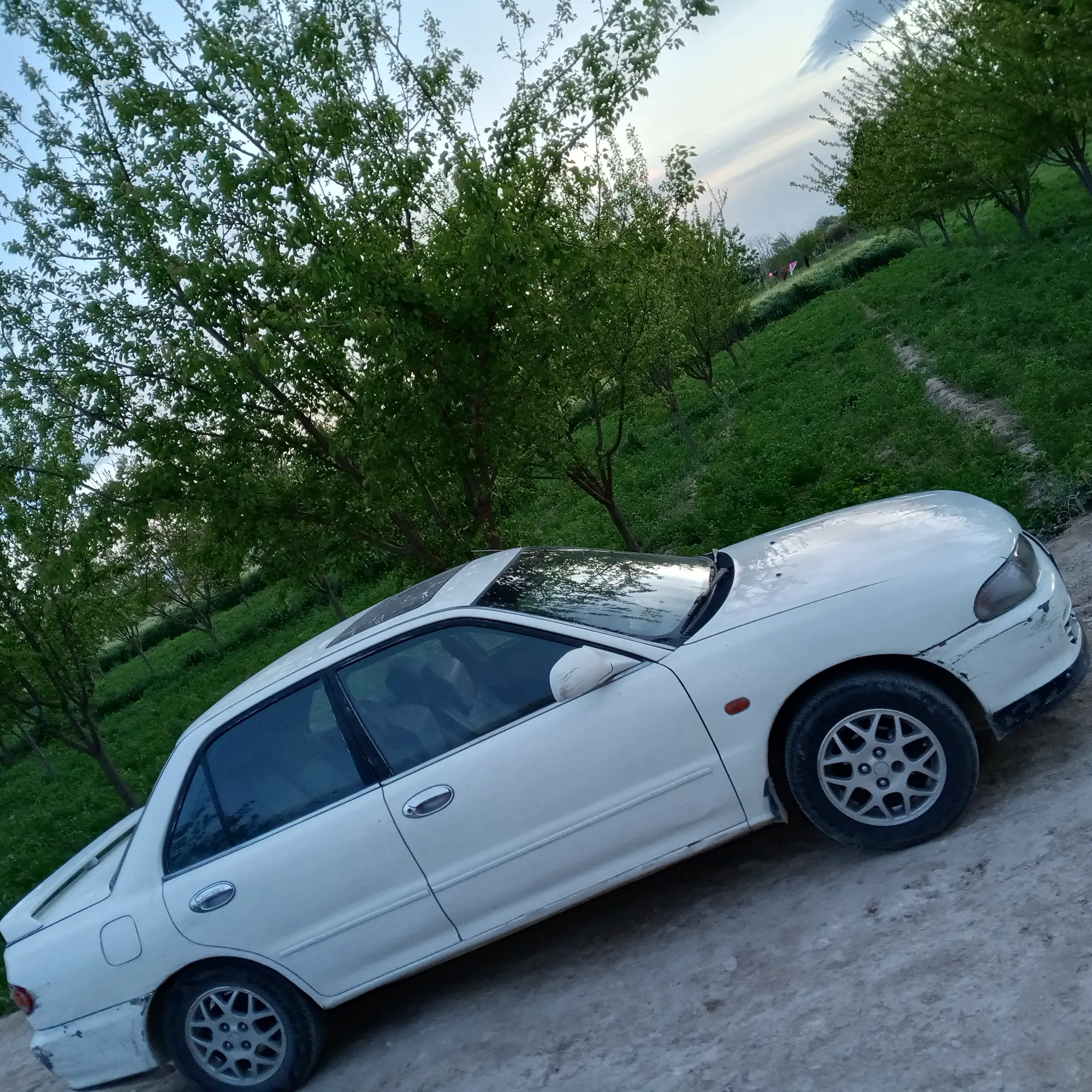 دمشق الغوطه الشرقيه  - صورة 2