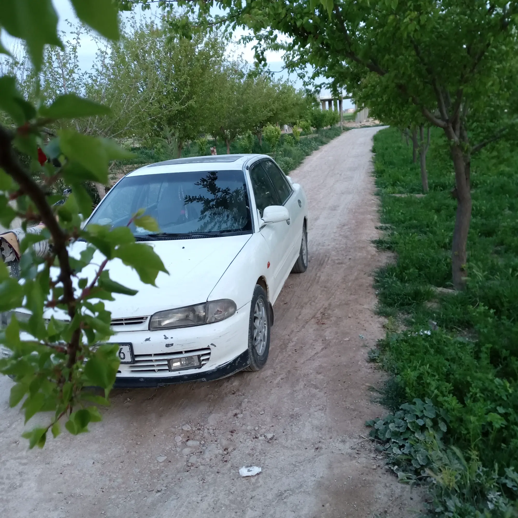 دمشق الغوطه الشرقيه  - صورة 4