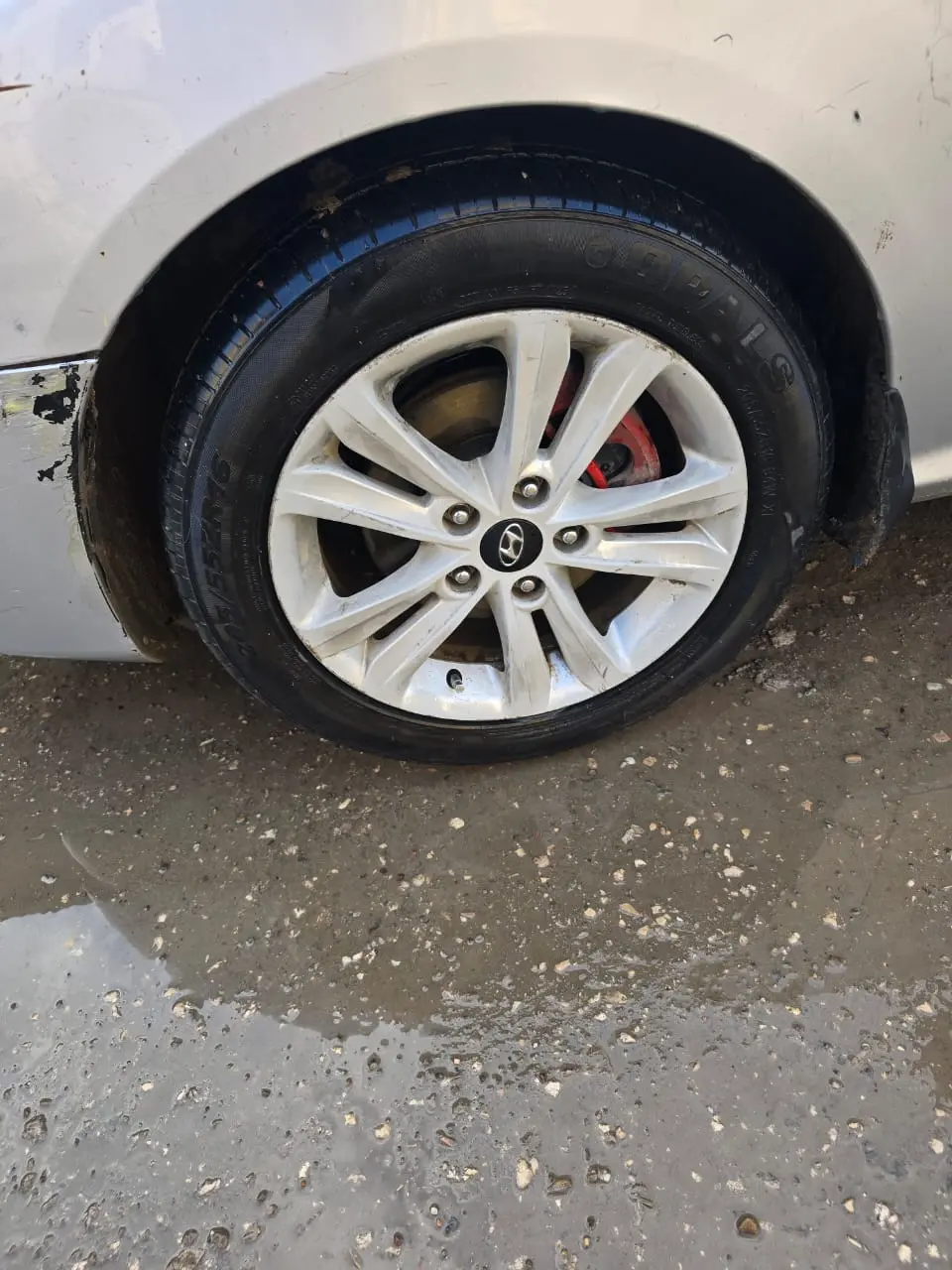 افانتي اللبيع  - صورة 6