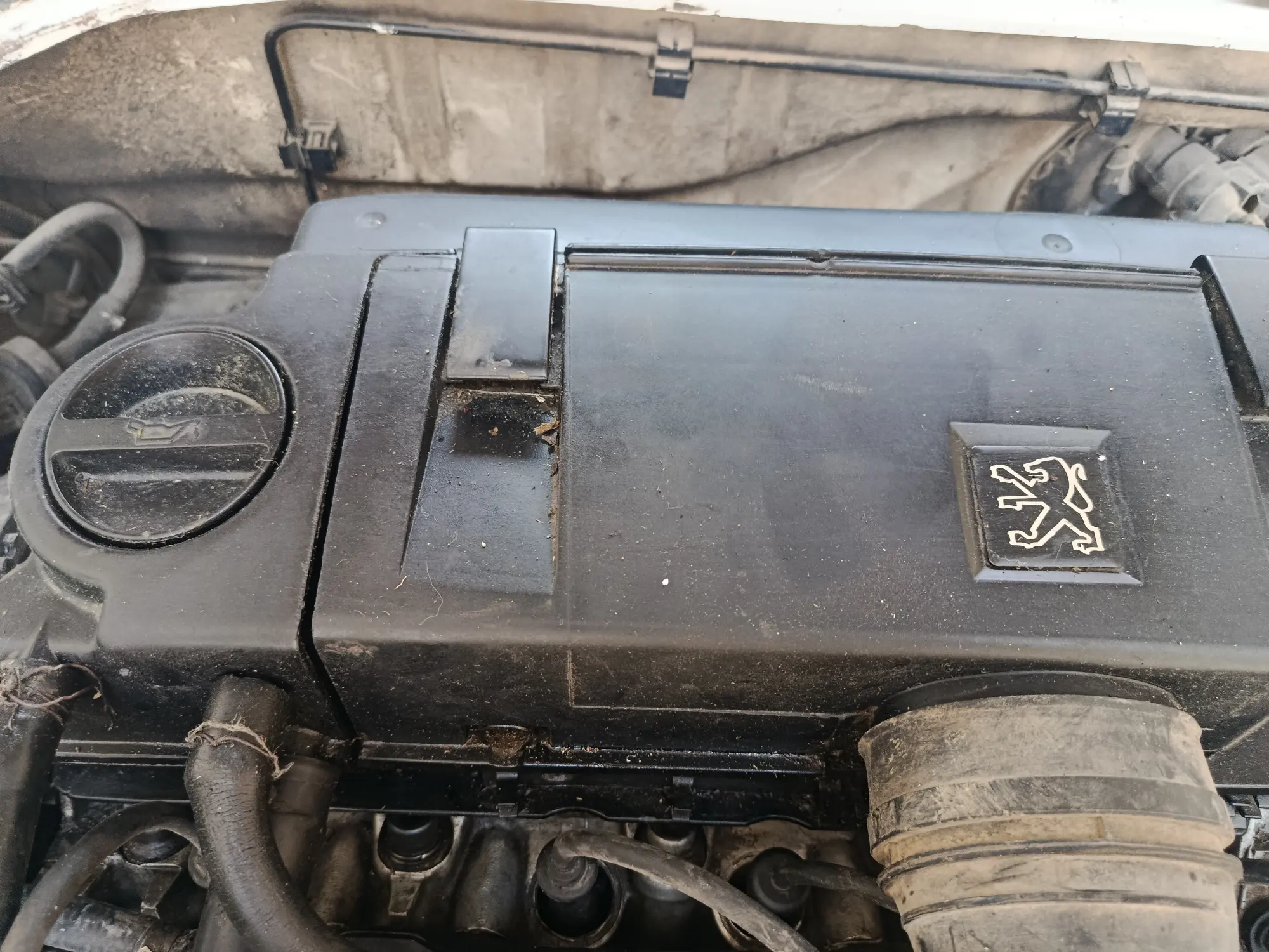 بيجو 306 موديل 2003 بحالة جيدة - صورة 4