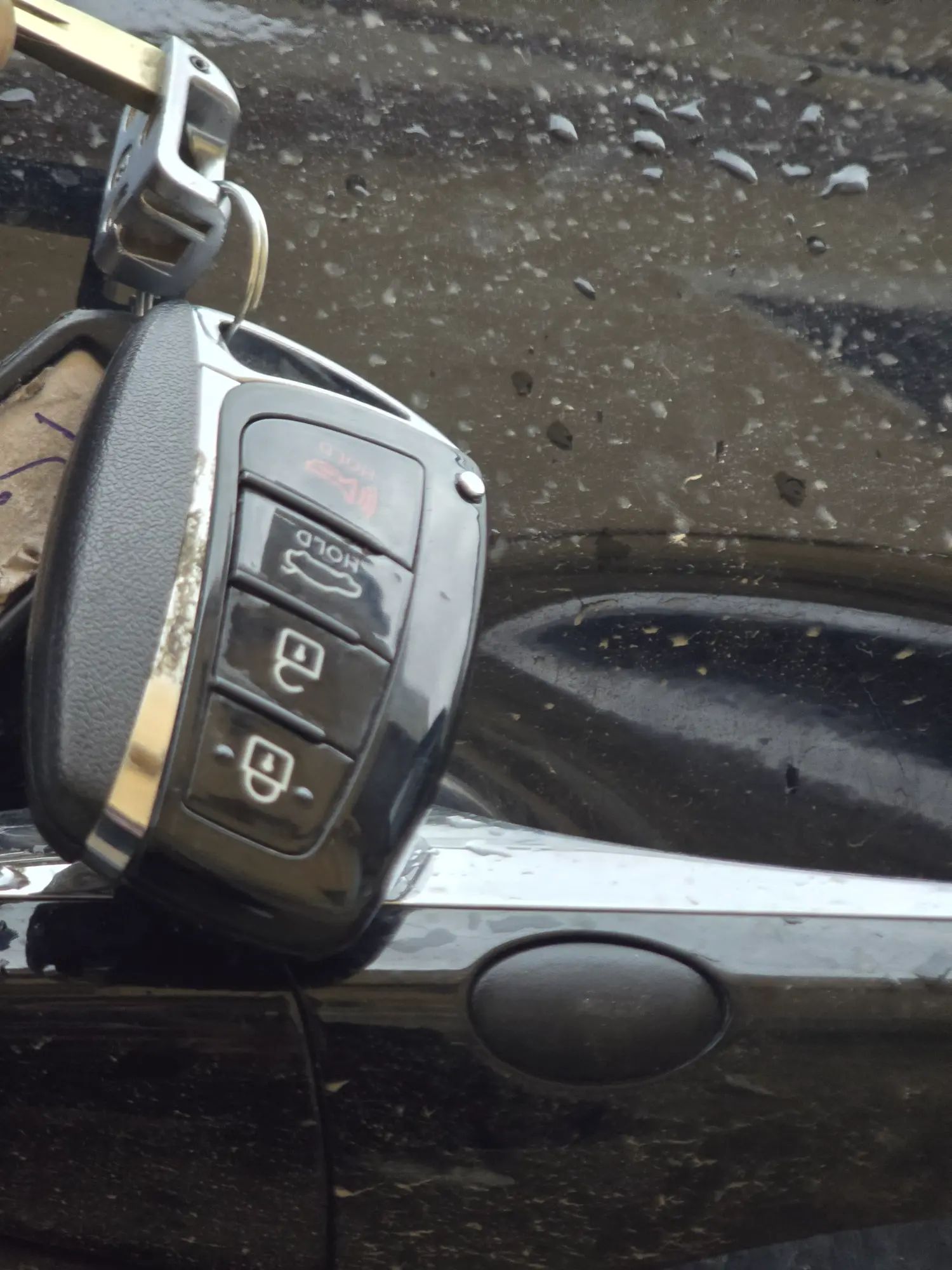 ازيرا ٢٠١٢ - صورة 4