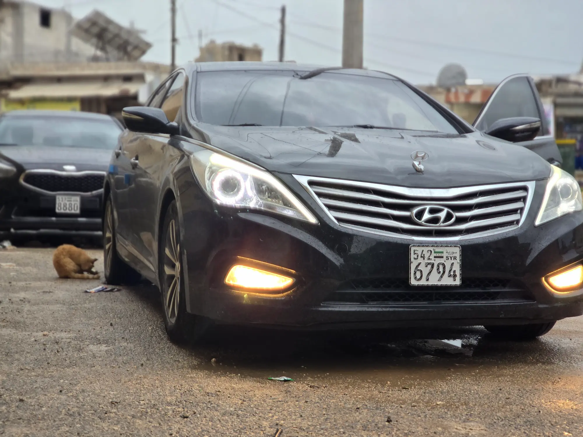 ازيرا ٢٠١٢ - صورة 5