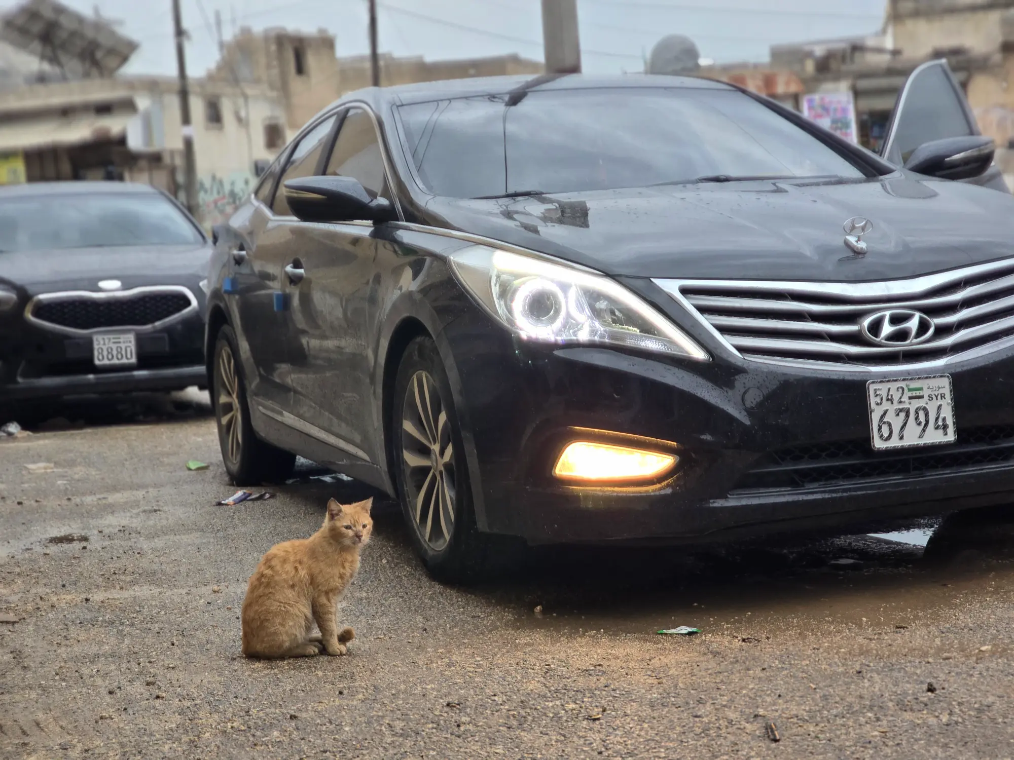 ازيرا ٢٠١٢ - صورة 6