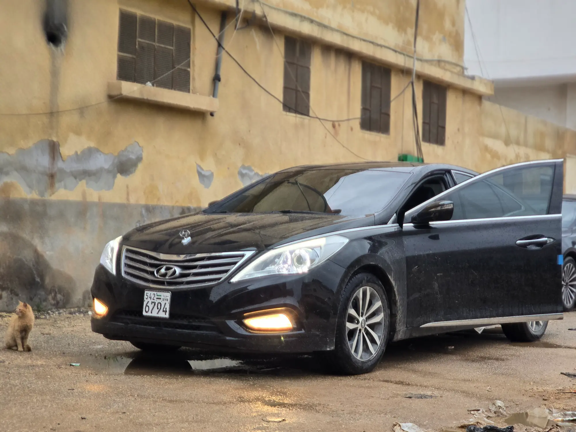 ازيرا ٢٠١٢ - صورة 7