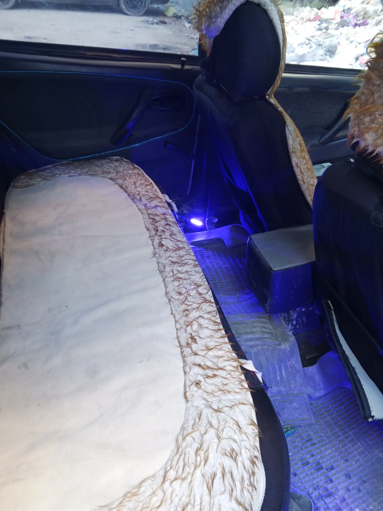  دمشق ببيلا - صورة 4