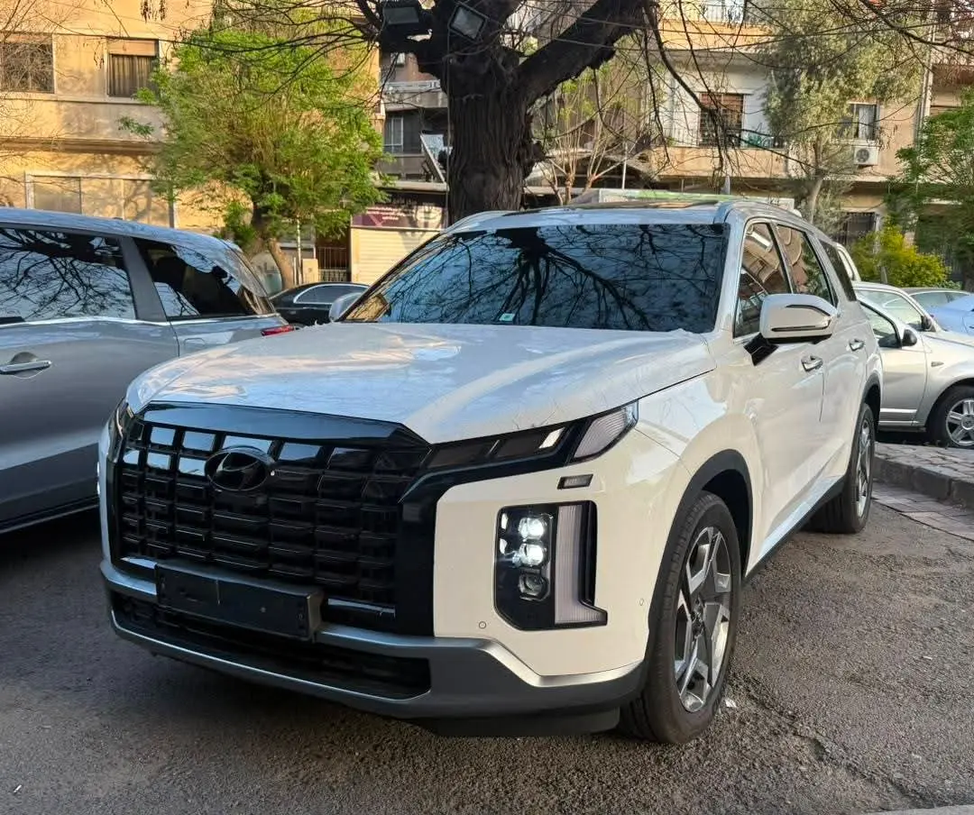 هيونداي باليسيد 2024 بحالة الوكالة - صورة 1