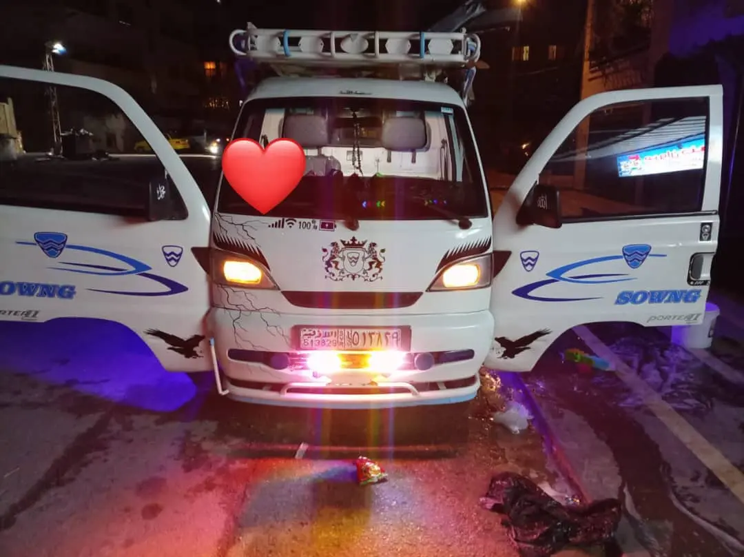 سونغ عالميه بالشحم انضف قطعه باللبد - صورة 2