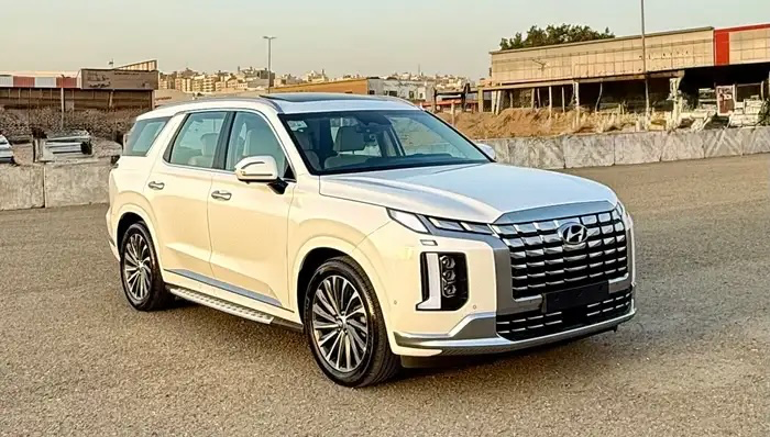 هيونداي باليسيد 2024 بحالة الوكالة - صورة 2