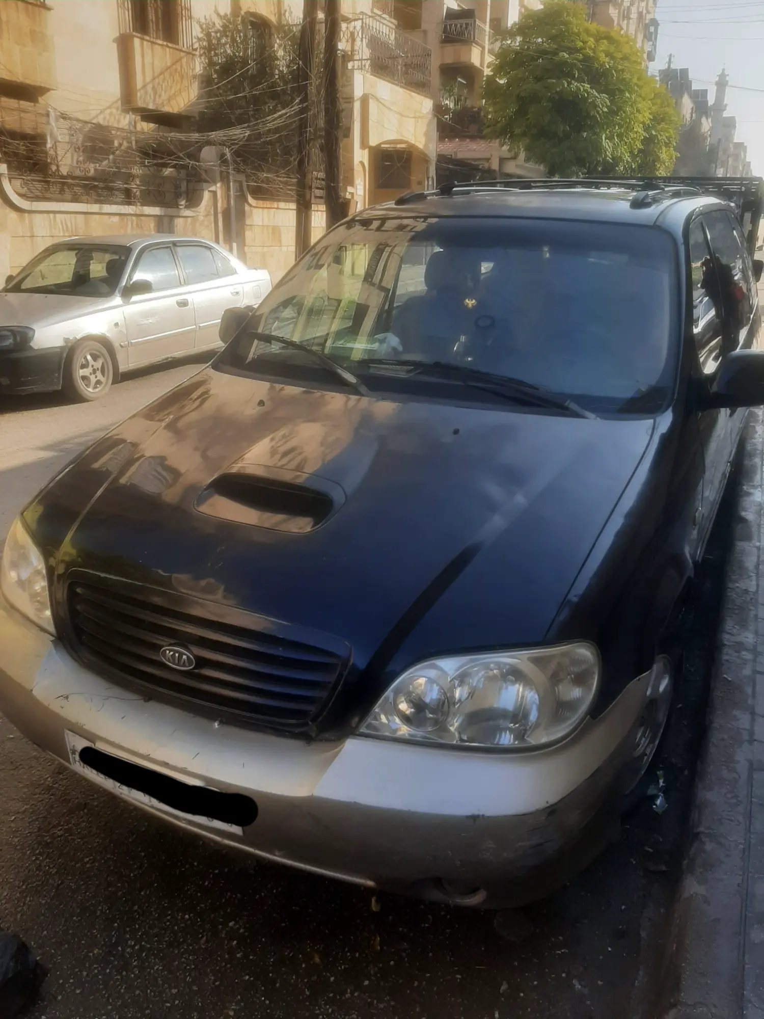 كيا كارنيفال 2003 عائلية وعملية - صورة 1