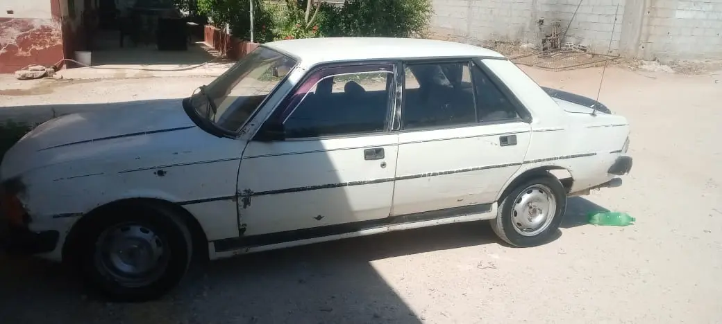 بيجو 305 موديل 1982 كلاسيكية بحالة جيدة - صورة 2